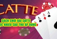 Bài Catte – Cách Chơi Đánh Bài Catte Từ A – Z Cực Hay bài catte