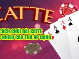 Bài Catte – Cách Chơi Đánh Bài Catte Từ A – Z Cực Hay bài catte