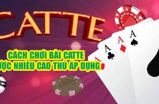 Bài Catte – Cách Chơi Đánh Bài Catte Từ A – Z Cực Hay bài catte