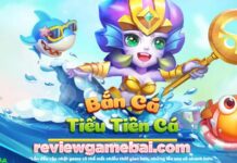 Bắn Cá Tiểu Tiên Cá – Game Bắn Đổi Thẻ Không Giới Hạn bắn cá tiểu tiên