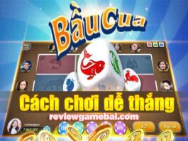 Cách Chơi Bầu Cua Và Bí Kíp Dễ Thắng Được Bật Mí cách chơi bầu cua