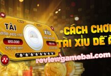 Tài Xỉu là gì? Cách Chơi Tài Xỉu Hiệu Quả Cho Người Mới cách chơi tài xỉu