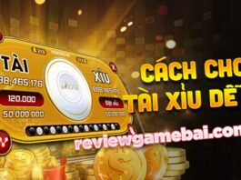 Tài Xỉu là gì? Cách Chơi Tài Xỉu Hiệu Quả Cho Người Mới cách chơi tài xỉu