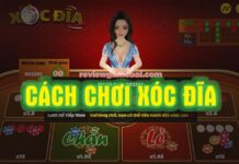 Xóc đĩa là gì? Cách chơi xóc đĩa, luật chơi như thế nào? cách chơi xóc đĩa