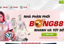 Mibet – Nhà Cái Số 1 Về Cá Độ Bóng Đá Online mibet