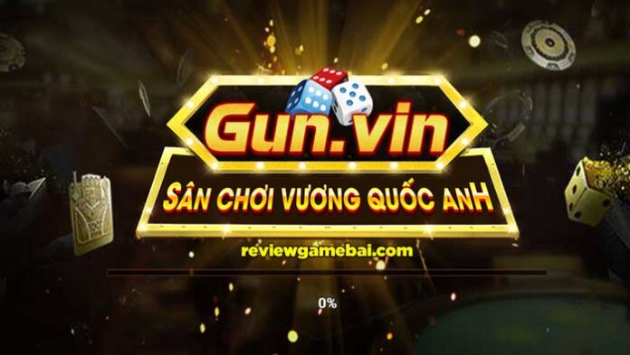 gun vin