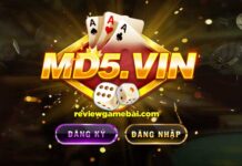 MD5 Vin – Game Bài Tài Xỉu Xanh Chín Quốc Tế md5 vin