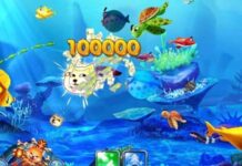 Game bắn cá mỹ nhân săn cá – trải nghiệm giải trí độc đáo