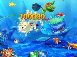Game bắn cá mỹ nhân săn cá – trải nghiệm giải trí độc đáo